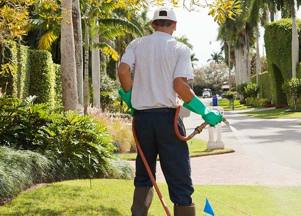 About Bradley Beach NJ Pest Control Pros
